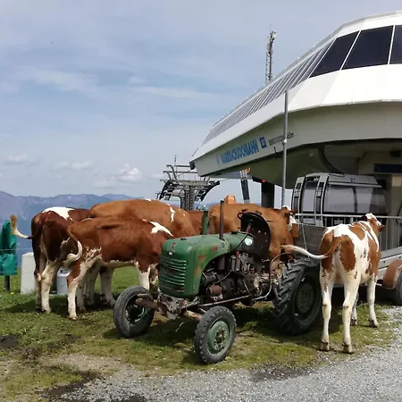 Christof,s Wild230 Oberau