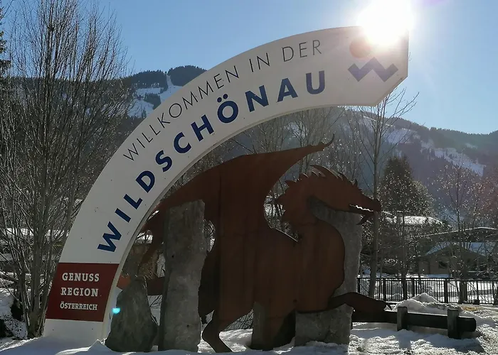 Apartment Christof,s Wild230 *