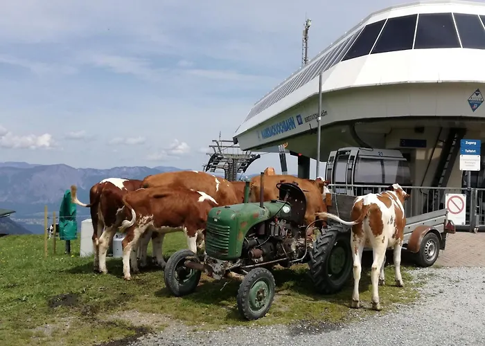 Christof,s Wild230 Wildschoenau